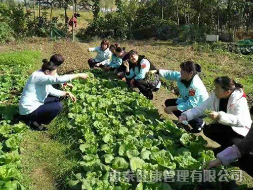 員工團(tuán)建活動，自己摘菜做飯